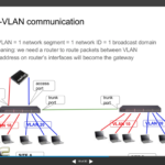 Mikrotik roles on VLAN