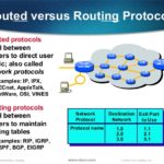 Routing protocol vs routed protocol